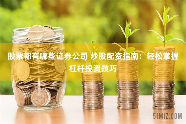 股票都有哪些证券公司 炒股配资指南：轻松掌握杠杆投资技巧