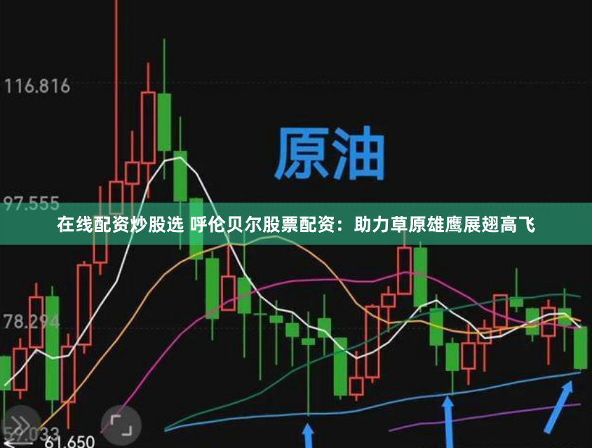 在线配资炒股选 呼伦贝尔股票配资：助力草原雄鹰展翅高飞