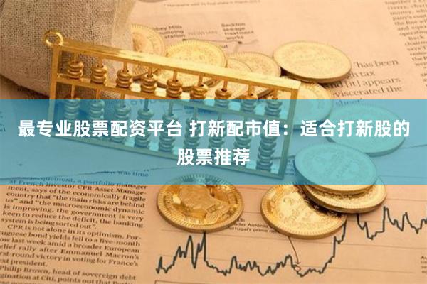 最专业股票配资平台 打新配市值：适合打新股的股票推荐